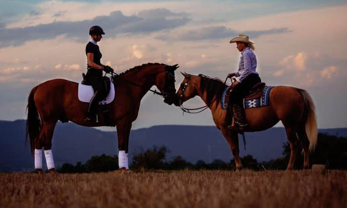 Dressage Meets Cowboy